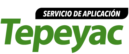 servicio_de_aplicacion_tepeyac