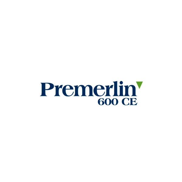 premerlin_600